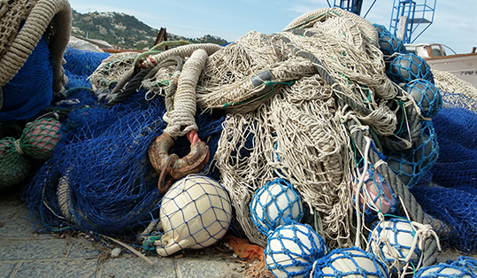 морской вид